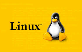 Linux 서버